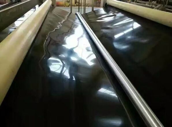ˮڸеӦ